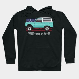 aqua 289 Hoodie